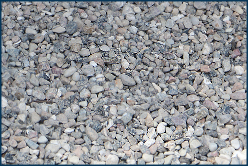 Lagerverkauf für Selbstabholer oder als Lieferservice